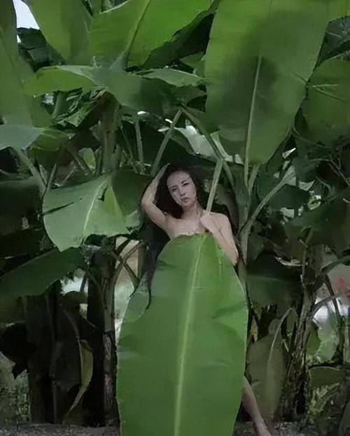 合成 女明星 裸_明星合成精品合成777_明星裸妆术具体是干嘛的